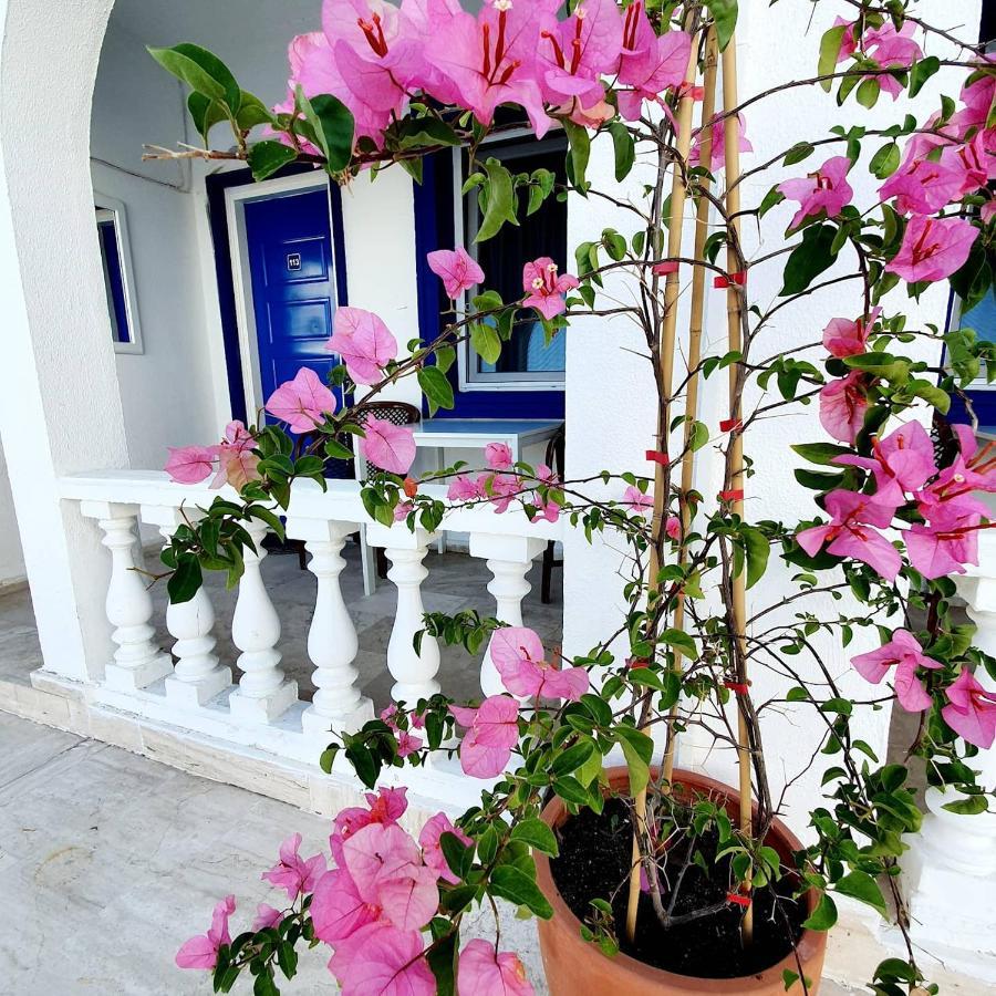 Dreams Bodrum Hotel Nocleg ze śniadaniem Bodrum
