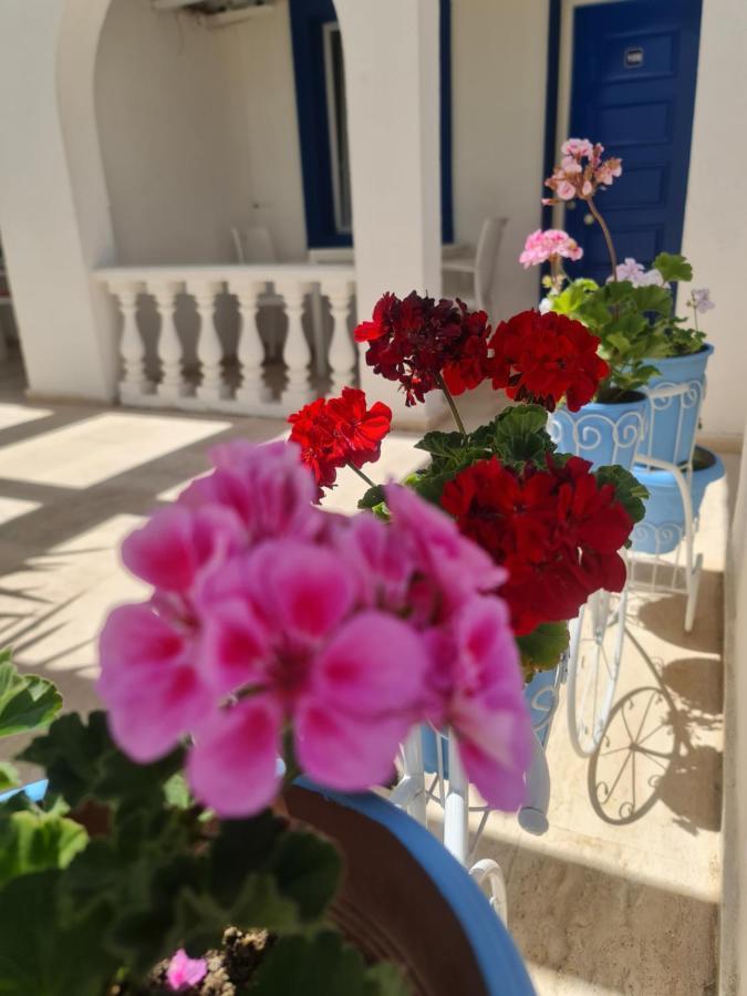 Nocleg ze śniadaniem Dreams Bodrum Hotel *